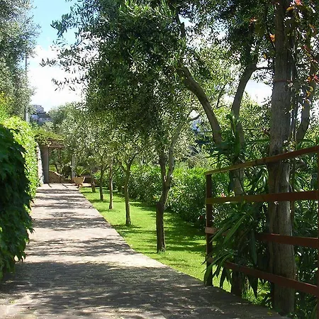 Sant'alfonso