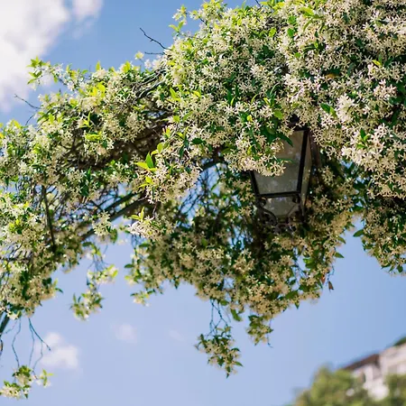 Aparthotel Sant'alfonso