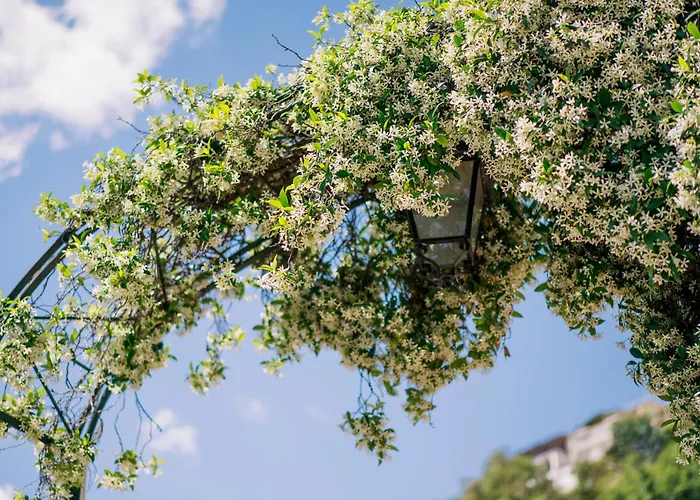 Aparthotel Sant'alfonso